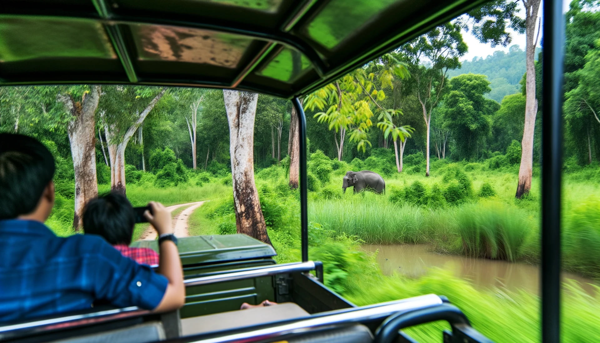Kaeng Krachan Safari